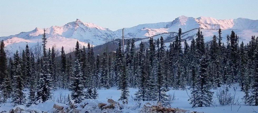 Denali Touch Of Wilderness B&B Хили Экстерьер фото
