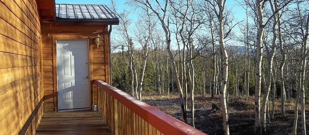 Denali Touch Of Wilderness B&B Хили Экстерьер фото